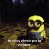 te estoy viendo por la ventana