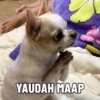 YAUDAH MAAP