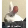 note nojes