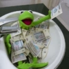 Ranita RENÉ! 🐸 13