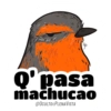 Dichos de fauna chilena 2 6