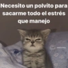 Necesito un polvito para
sacarme todo el estrés
que manejo
@memasting