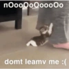 nOooOoOooooo domt leamv me :(