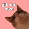 gib me love