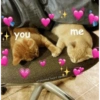 you me wholesome heart.memes