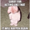 SORRY FOR ACTING LIKE THAT IT WILL HAPPEN AGAIN