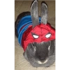 Homem aranha 21