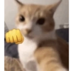 Puro ódio 😠 6