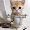 verposting
aceita dividir um brigadeiro
de panela durinho cmg?