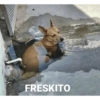 FRESKITO
