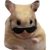 Memes  11