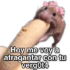 Hoy me voy a atragantar con tu verg0t4