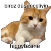 Pikaçu sarıgöt 14