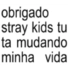 obrigado stray kids tu ta mudando minha vida