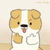 Doogy 12