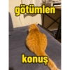 Pikaçu sarıgöt 15