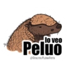 Dichos de fauna chilena 2 7