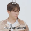(...)
NGOMONG APA SIH