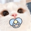 🧿Animalitos cute para chat 2 27