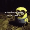 antes de conocerte no te conocia
