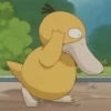 Momento de Psyduck🦆😎✨ 10