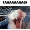RAAAAAAAAAAAGH