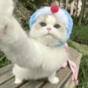 🧿Animalitos cute para chat 2 24