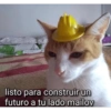 listo para construir un
futuro a tu lado mailov