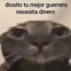 diosito tu mejor guerrero
necesita dinero