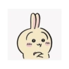 Usagi 29
