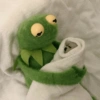 Ranita RENÉ! 🐸 18