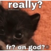 really? @softcatmemes fr? on god?®
