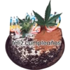 Modo feliz  13