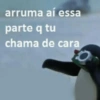 arruma aí essa parte q tu chama de cara