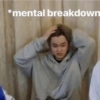 *mental breakdown