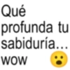 Frases brat sarcásticas 📝🙄 15