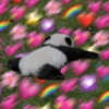 Bichinhos Fofos Cute 💕 9