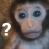 Monos. | @ocenferios  Haki. 6