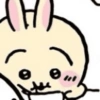 Usagi 22