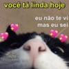 você tá linda hoje
eu não te vi
mas eu sei
RDSGANG