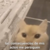 las consecuencias de mis actos me persiguen
