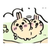 Usagi 19