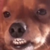 Memes without context 7