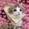 @lovememesdealer i LOAF you