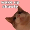 wake up shawty