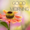 GOOD MORNING AWESOMENEWYEAR.COM