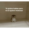 Te quiero hablar pero no te quiero molestar