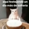 aquí festejando un
día más de soltería