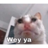 Wey ya