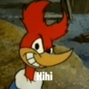 Meme pica pau 23